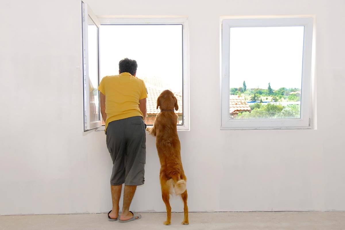 A man with his dog looking out of his window.