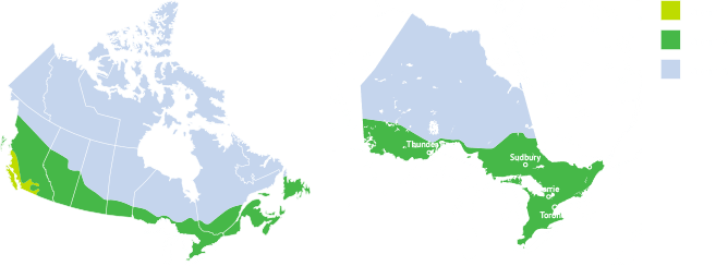 Energy Climate Zone maps for Ontario and Canada