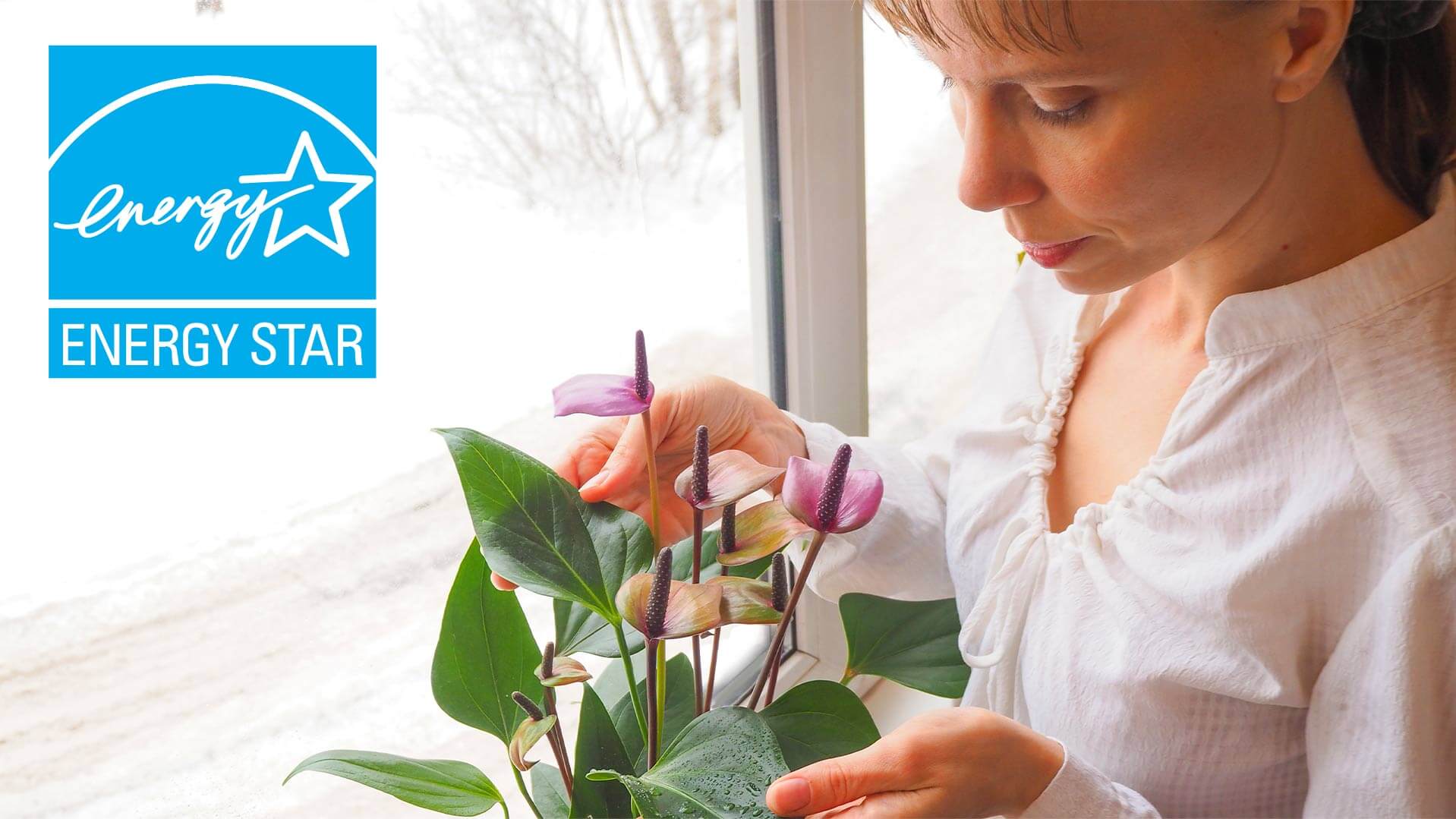 Woman arranging flowers near a window.