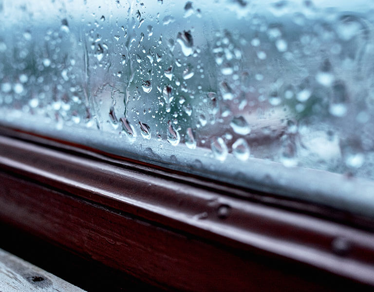 Window condensation forming on a window.