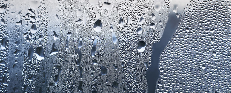 condensation on a window