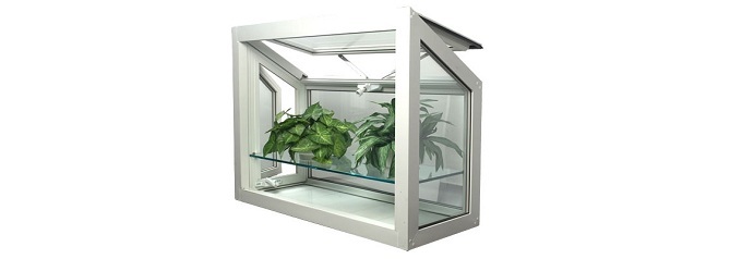 greenhouse window with plants